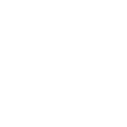 ce logo Kirkland