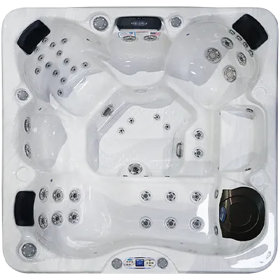 Avalon EC-849L hot tubs for sale in Kirkland